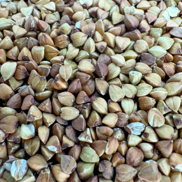 Kasha bio, sarrasin grillé, sarrasin bio, kasha sans gluten, sarrasin croquant, ingrédient bio, superaliment, céréale sans gluten, graine grillée, céréale bio