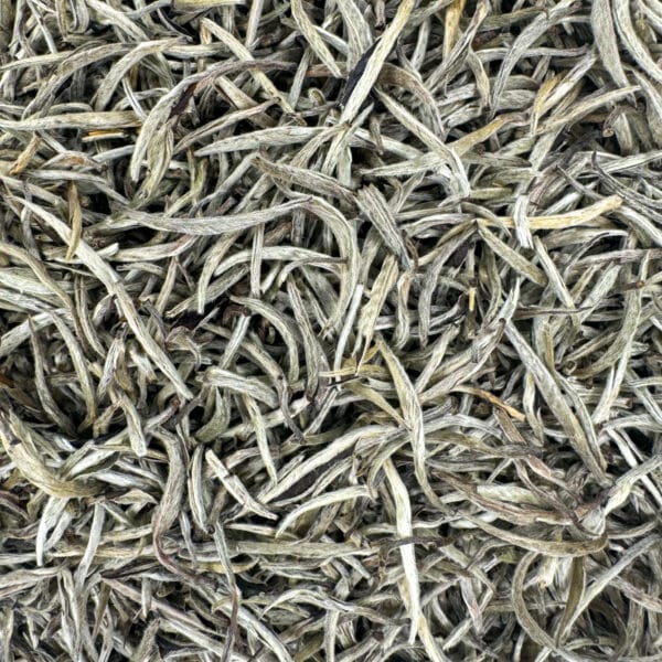 Thé blanc bio, Thé Silverneedle bio, Thé blanc de qualité, Infusion de bourgeons de thé, Thé blanc délicat, Thé premium bio