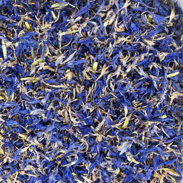 Bleuet bio fleur des blés, centaurée bleue, bouton bleu, bluet, casse-lunettes, barbeau, couronneau, fleur de centaurée, centaurée cyanus, bleuet européen, petite centaurée, bluette, étoile bleue.