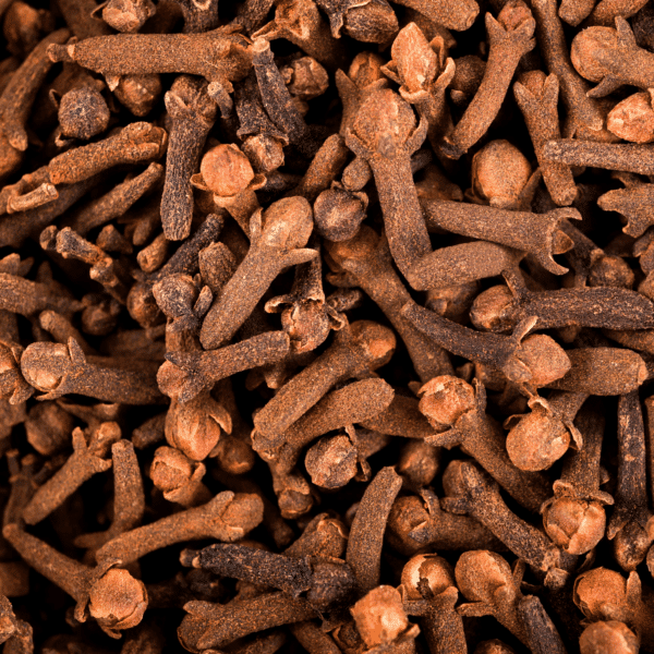 Clou de girofle épices bio, boutons floraux bio de giroflier, clous de girofle organiques, clous de girofle naturels, girofle bio, clous de girofle certifiés bio, boutons de girofle bio, girofle organique.