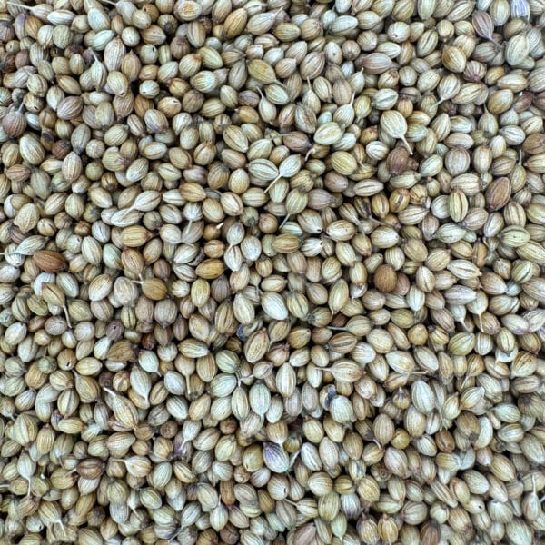 graines de coriandre, coriandre en graines, coriandre entière, coriandre séchée, semences de coriandre, grains de coriandre, coriandre naturelle, coriandre aromatique, graines de coriandre sélectionnées, coriandre épice, coriandre herboristerie, graines de coriandre parfumées, coriandre en vrac, coriandre culinaire, coriandre plante médicinale