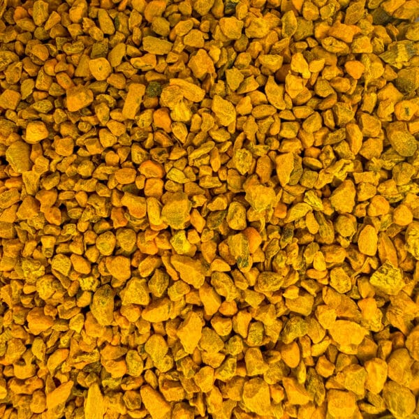 Racine de curcuma curcuma bio