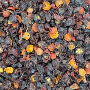 fruit de l'églantier