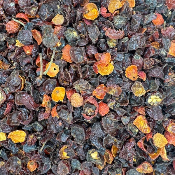 fruit de l'églantier