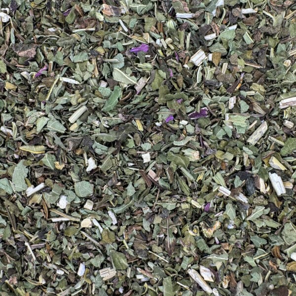 Herbe d'Echinacée
