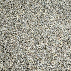 Graines de badiane bio