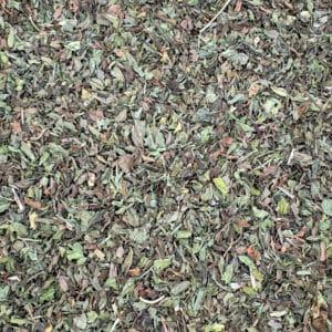 Menthe verte bio