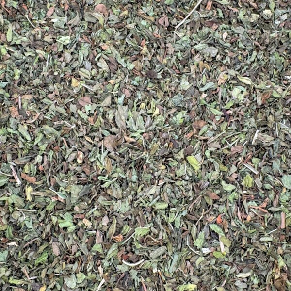 Menthe verte bio