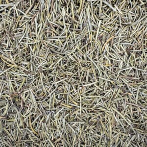 romarin biologique, romarin aromatique, romarin pour cuisine, herbes de romarin, romarin séché bio, romarin pour infusions, romarin pur, romarin pour assaisonnement, romarin pour plats méditerranéens