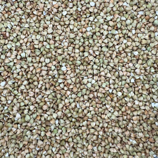 Kasha bio, sarrasin grillé, sarrasin bio, kasha sans gluten, sarrasin croquant, ingrédient bio, superaliment, céréale sans gluten, graine grillée, céréale bio