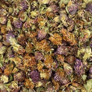 Trèfle rouge bio, fleurs de trèfle rouge, Trifolium pratense bio, trèfle des prés bio, fleurs de trèfle des prés, trèfle rouge séché, sommités fleuries de trèfle rouge, fleurs de Trifolium pratense, trèfle rouge en vrac bio