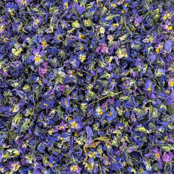 Violette odorante bio Fleur