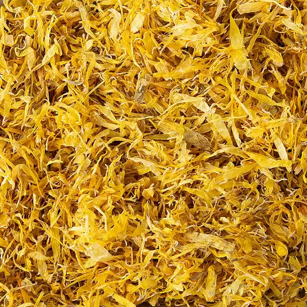 Fleur de Calendula (souci) bio – Pétales séchés sans calice calendula bio, fleur de souci, souci officinal, calendula officinalis, pétales de calendula, fleurs de souci bio, pétales séchés bio, calendula herboristerie, calendula cosmétique, calendula infusion, fleurs séchées artisanales