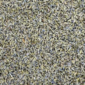 lavande médicinale, lavande angustifolia, lavande sauvage, lavande de Provence, lavande bleue, lavande florale, lavande parfumée, lavande apaisante, lavande herbacée, lavande naturelle, lavande cultivée, lavande relaxante, lavande purifiante, lavande cosmétique, lavande thérapeutique.