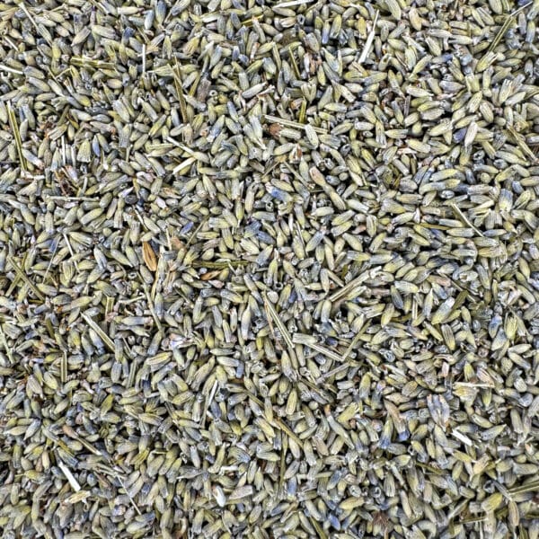 lavande médicinale, lavande angustifolia, lavande sauvage, lavande de Provence, lavande bleue, lavande florale, lavande parfumée, lavande apaisante, lavande herbacée, lavande naturelle, lavande cultivée, lavande relaxante, lavande purifiante, lavande cosmétique, lavande thérapeutique.