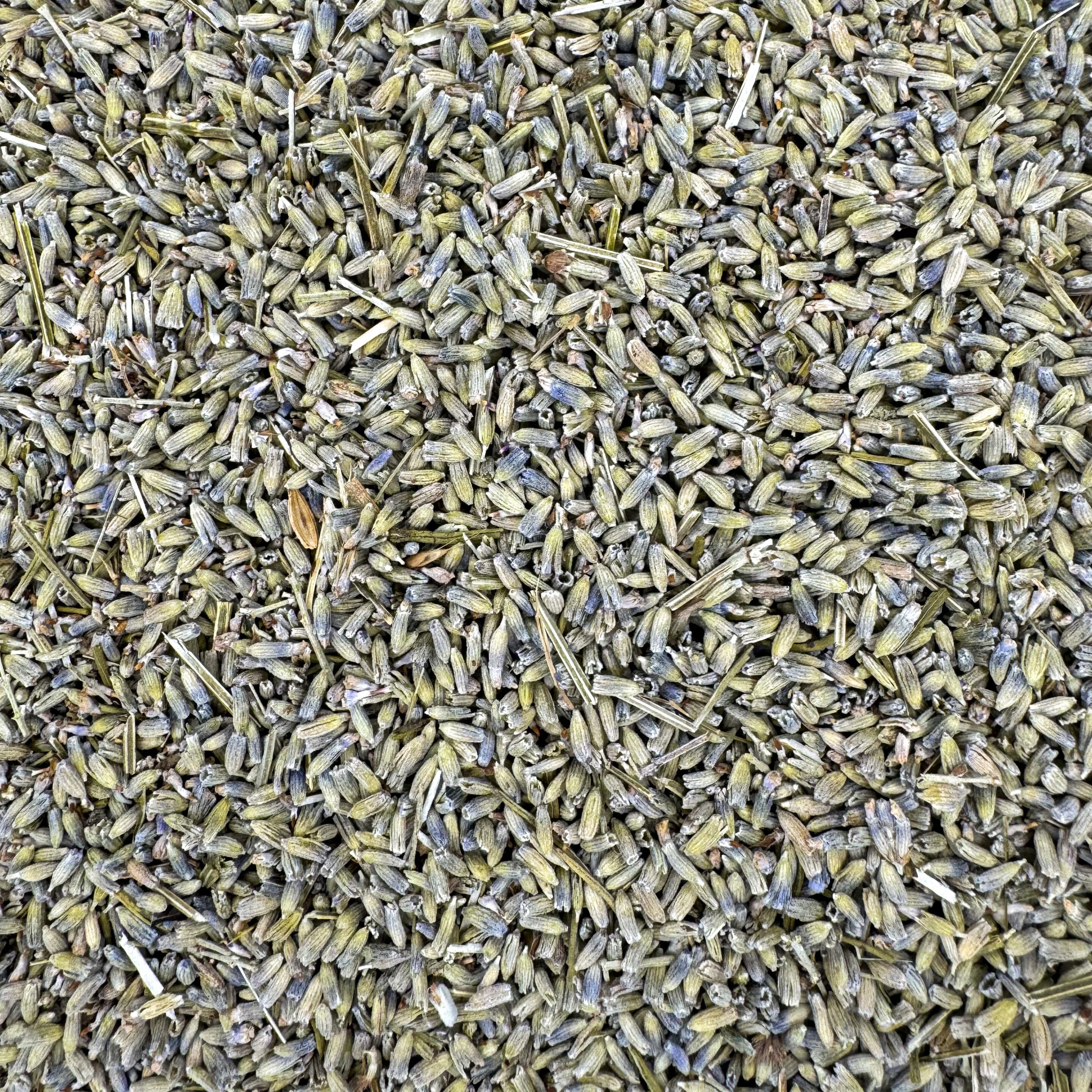 lavande médicinale, lavande angustifolia, lavande sauvage, lavande de Provence, lavande bleue, lavande florale, lavande parfumée, lavande apaisante, lavande herbacée, lavande naturelle, lavande cultivée, lavande relaxante, lavande purifiante, lavande cosmétique, lavande thérapeutique.