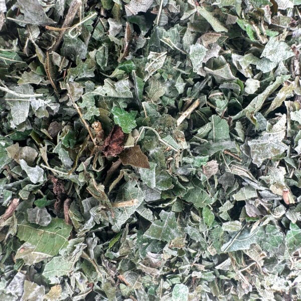 feuilles de mûre, mûrier bio, tisane de mûre, infusion de feuilles de mûre, bienfaits des feuilles de mûre, herboristerie bio, plantes médicinales, antioxydants naturels, détoxification, digestion naturelle, feuilles de mûrier bio, remède naturel, tisane sans caféine, infusion bien-être, feuilles séchées bio, soin digestif