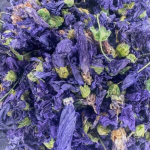 mauve, fleur de mauve, Malva sylvestris, fleurs médicinales, infusion de mauve, tisane de mauve, plantes médicinales, herbes à infusion, fleurs apaisantes, fleurs séchées, décoction de mauve, mauve sauvage, mauve commune, fleurs comestibles, tisane relaxante, bienfaits de la mauve