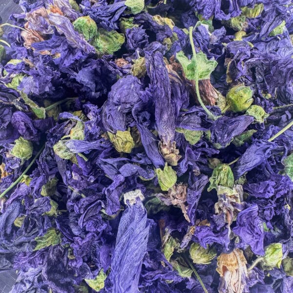 mauve, fleur de mauve, Malva sylvestris, fleurs médicinales, infusion de mauve, tisane de mauve, plantes médicinales, herbes à infusion, fleurs apaisantes, fleurs séchées, décoction de mauve, mauve sauvage, mauve commune, fleurs comestibles, tisane relaxante, bienfaits de la mauve