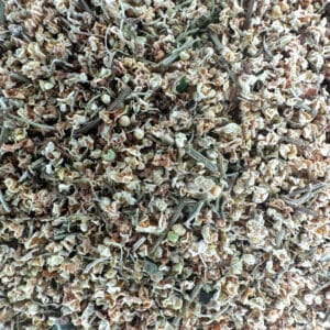 sureau bio, fleurs de sureau, sureau séché, fleurs de sureau séchées, infusion de sureau, tisane de sureau, bienfaits du sureau, bienfaits des fleurs de sureau, plantes médicinales bio, plantes de bien-être, fleurs séchées bio, infusion apaisante, infusion naturelle, herboristerie bio, remède naturel, santé par les plantes, défense immunitaire, bienfaits hivernaux, plantes pour l’hiver, remède traditionnel