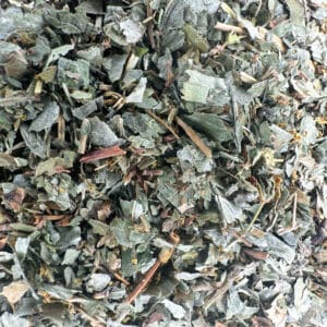 alchémille, Alchemilla vulgaris, herbe à dames, herbes médicinales, plantes médicinales, infusion d'alchémille, tisane d'alchémille, astringent naturel, plantes à infusion, tisanes féminines, herbes à propriétés tonifiantes, alchémille des jardins, alchémille commune, alchémille sauvage, alchémille officinale, fleurs d'alchémille.
