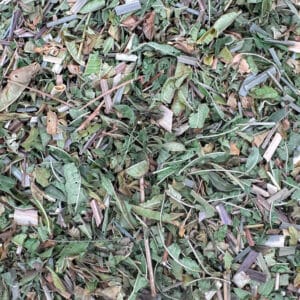 Tisane