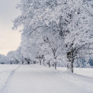 Hiver