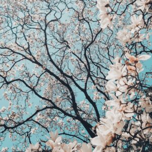 Printemps