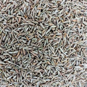 Cumin bio