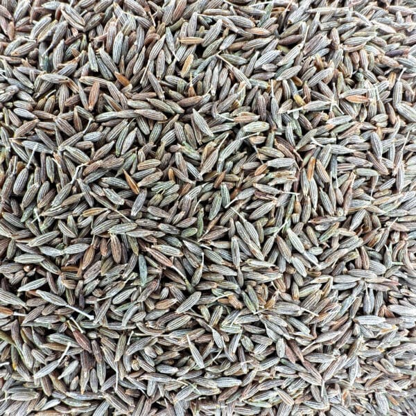 Cumin bio