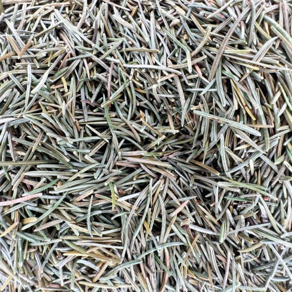 aiguille de sapin, feuilles de sapin, pointes de sapin, brindilles de sapin, aiguilles résineuses, aiguilles aromatiques, sapin blanc, Abies alba, plante respiratoire, plante purifiante, herboristerie, infusion de sapin, fumigation sapin, bienfaits du sapin, huiles essentielles de sapin, plante médicinale forestière