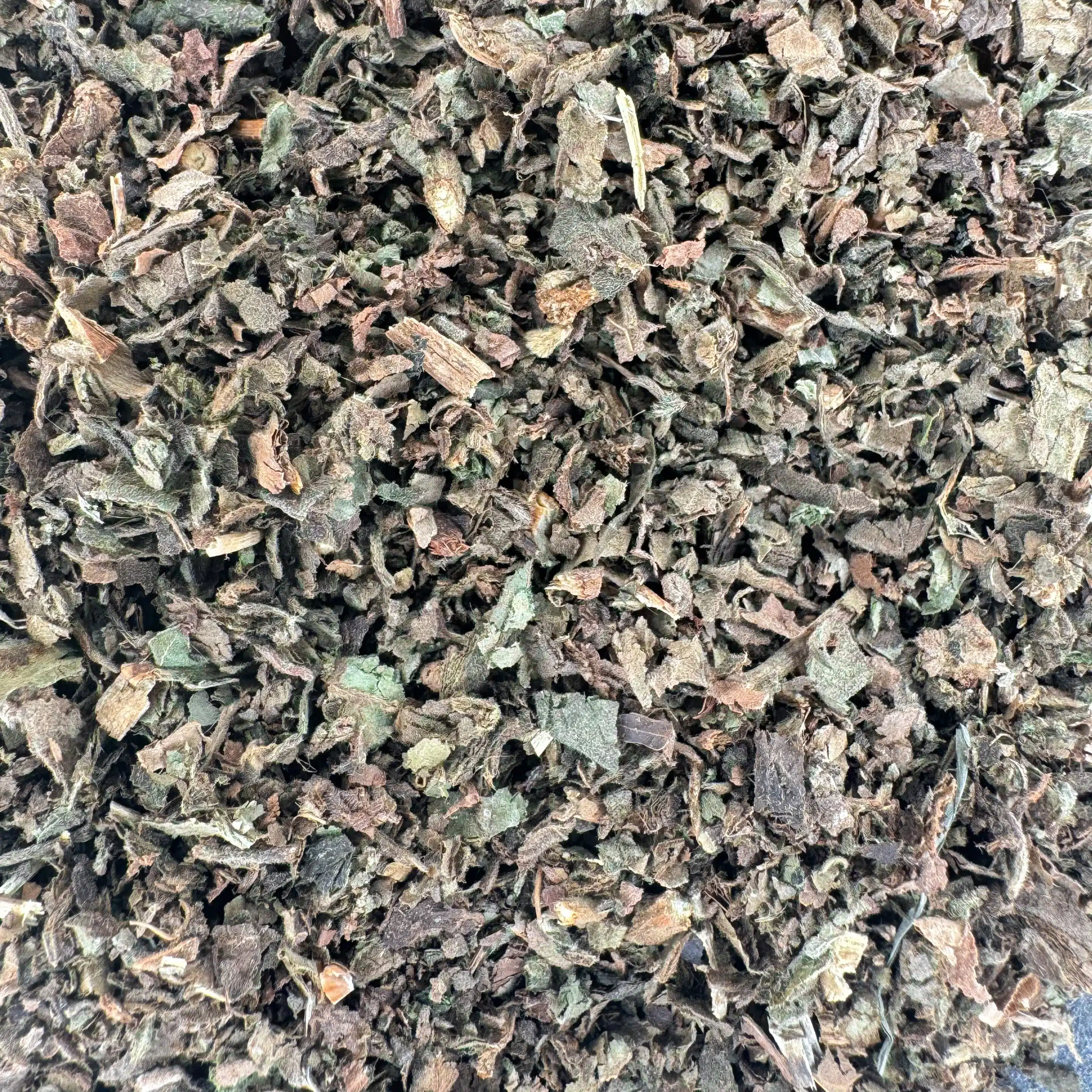feuille d’armoise, armoise commune, armoise séchée, Artemisia vulgaris, plante purifiante, plante digestive, infusion armoise, herboristerie, fumigation armoise, plante de protection, rituels spirituels, armoise médicinale, purification naturelle, tisane armoise, encens armoise, armoise énergétique