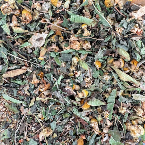 tisane coliques, tisane bébé coliques, infusion confort digestif, tisane allaitement coliques, tisane camomille verveine, infusion nourrisson, tisane sage-femme, tisane artisanale suisse, tisane anisée bio