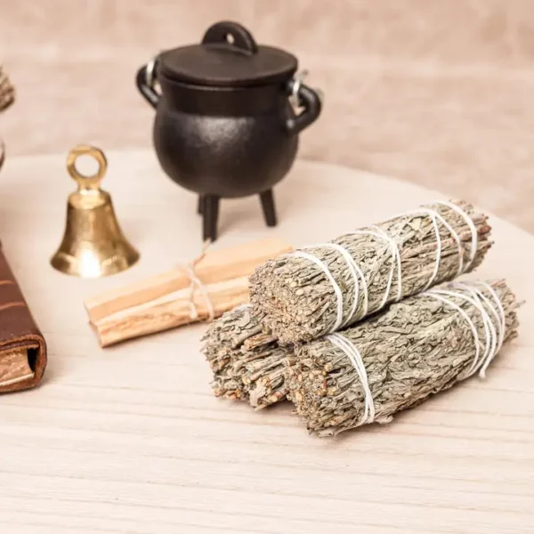 sauge bleue de californie, blue sage, grand-mère sage, balot de sauge bleue, sauge purification, plante sacrée, encens naturel, fumigation énergétique, sauge apaisante, tisalia sauge bleue